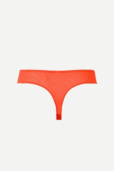  Spicy Orange