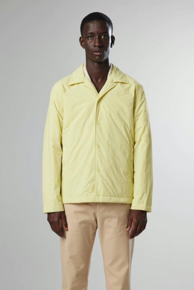  Endive Yellow 4