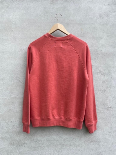  Spiced Coral