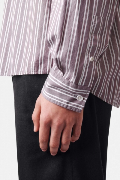  8204 Purple