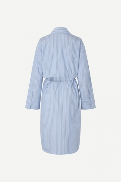 Brunerra Blue