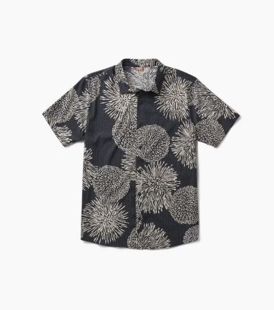 RW534 Black Floral