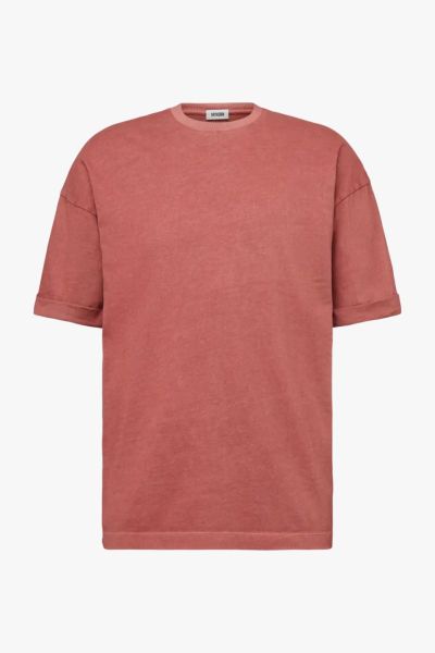  4002 Coral