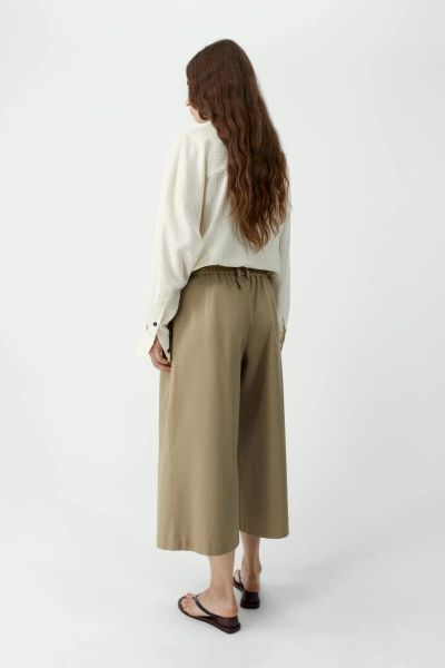  Camel